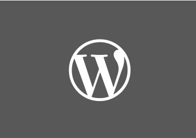 WordPress-Entwicklung